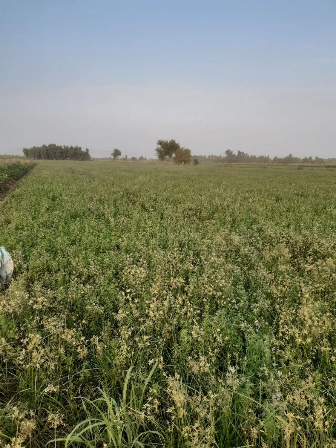 منزل ویلایی قلعه طوق