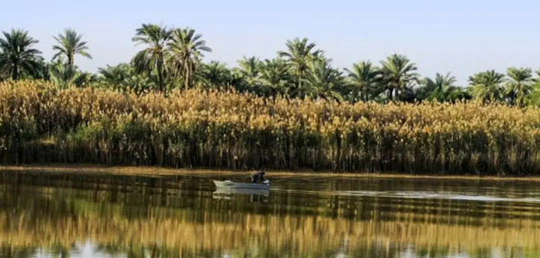 زمین ساحلی فرح آباد