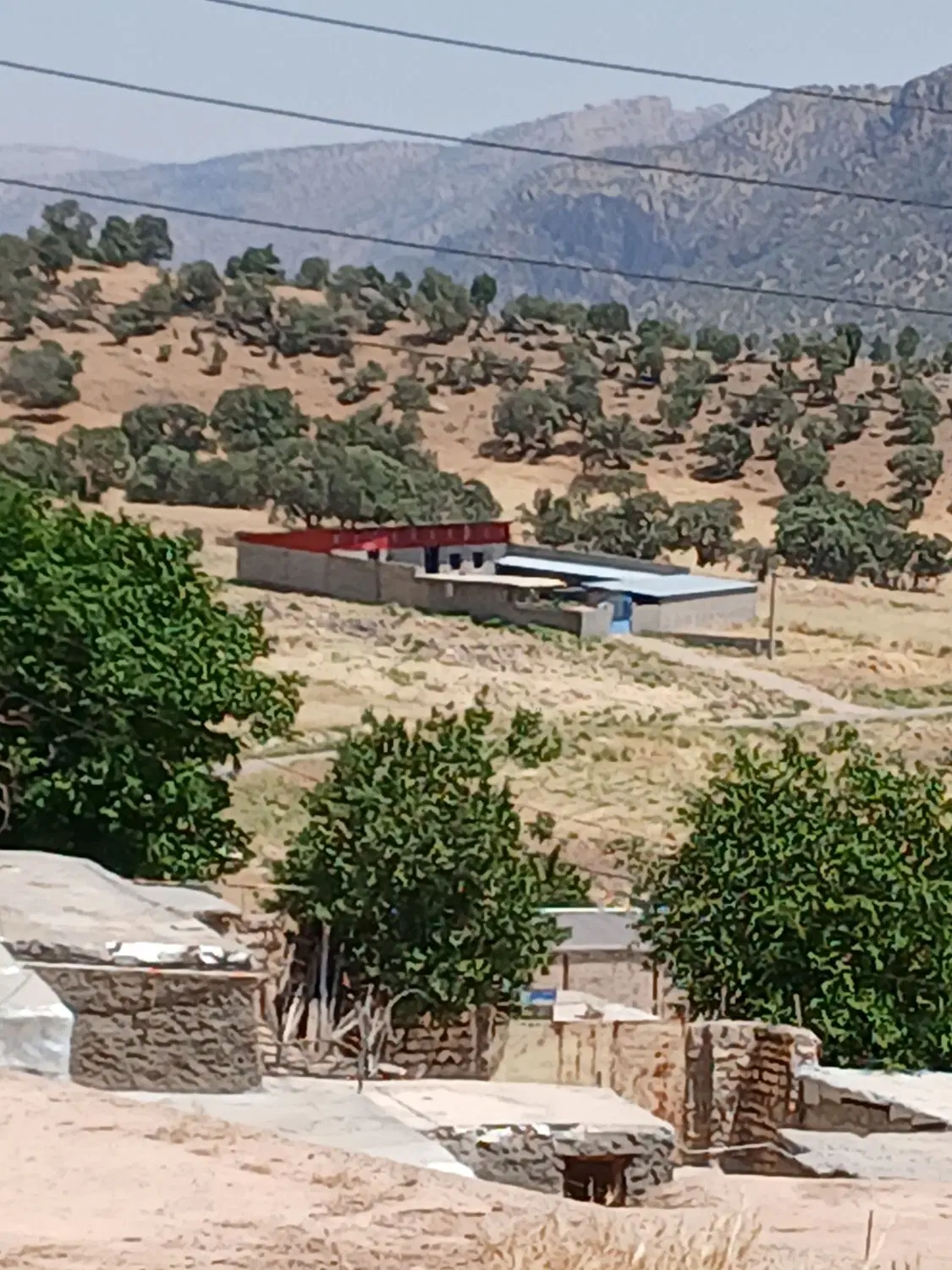 گاوداری ۱۰۰راسی