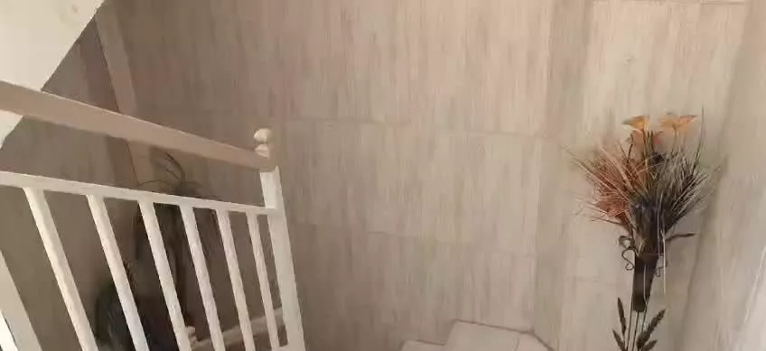 آپارتمان جنوبی و سندتک برگ
