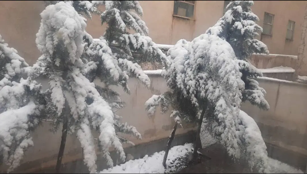 واحد ۱۳۰ متری با حیاط و زیر زمین