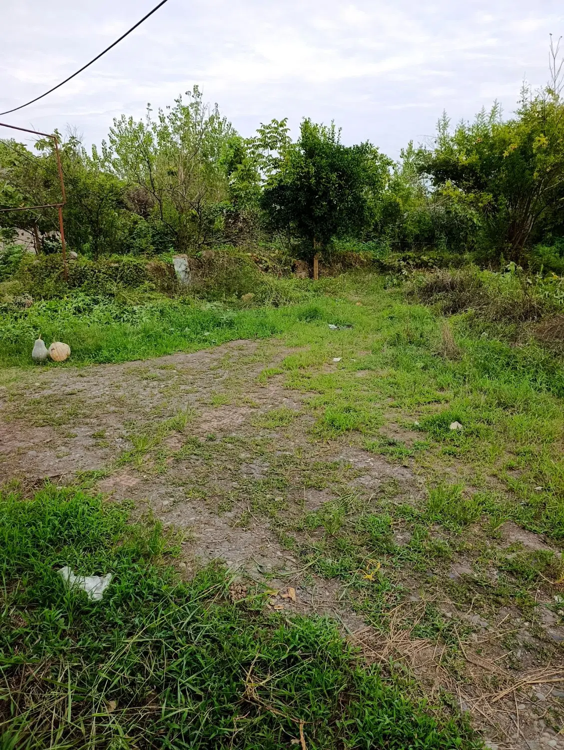 خانه کلنگی قابل سکونت و شالیزار