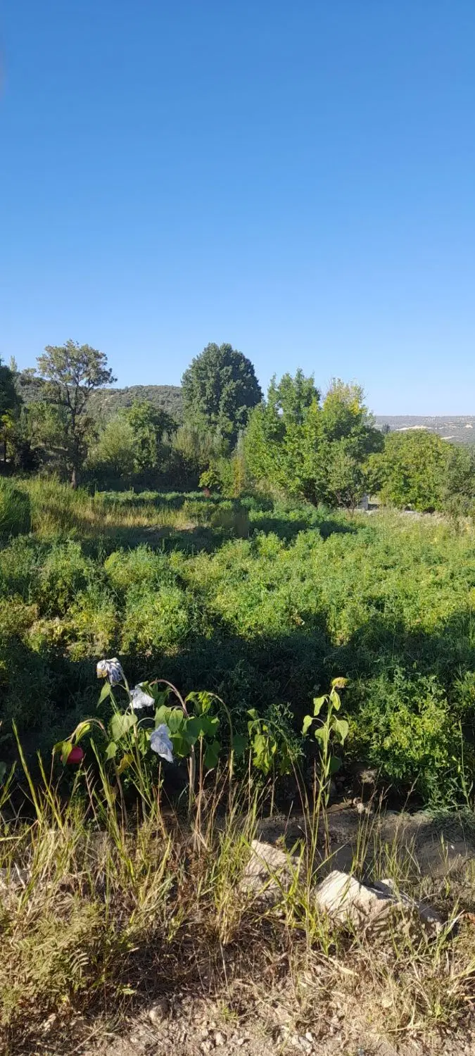 فروش زمین