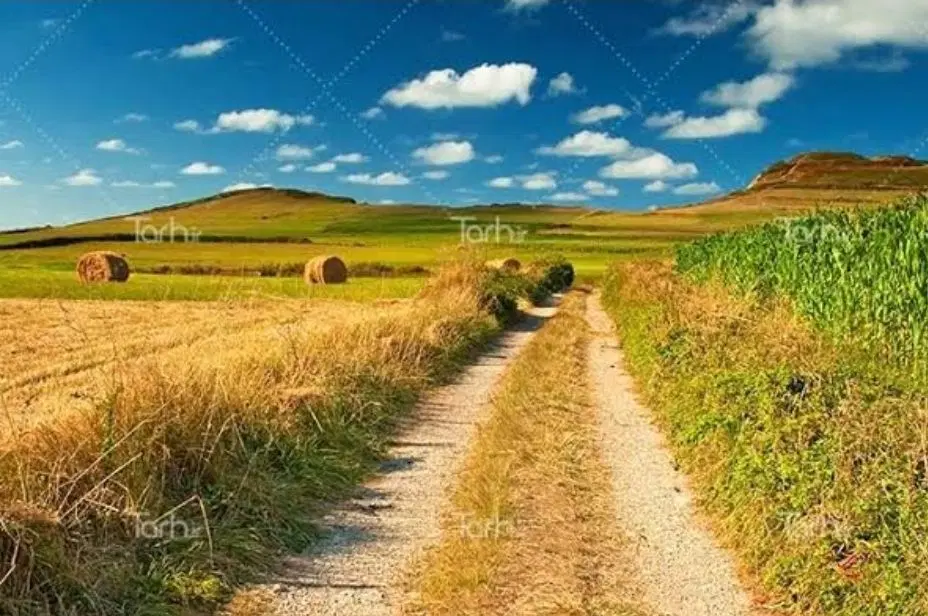 زمین باغ شهری ۵۰۰ متری
