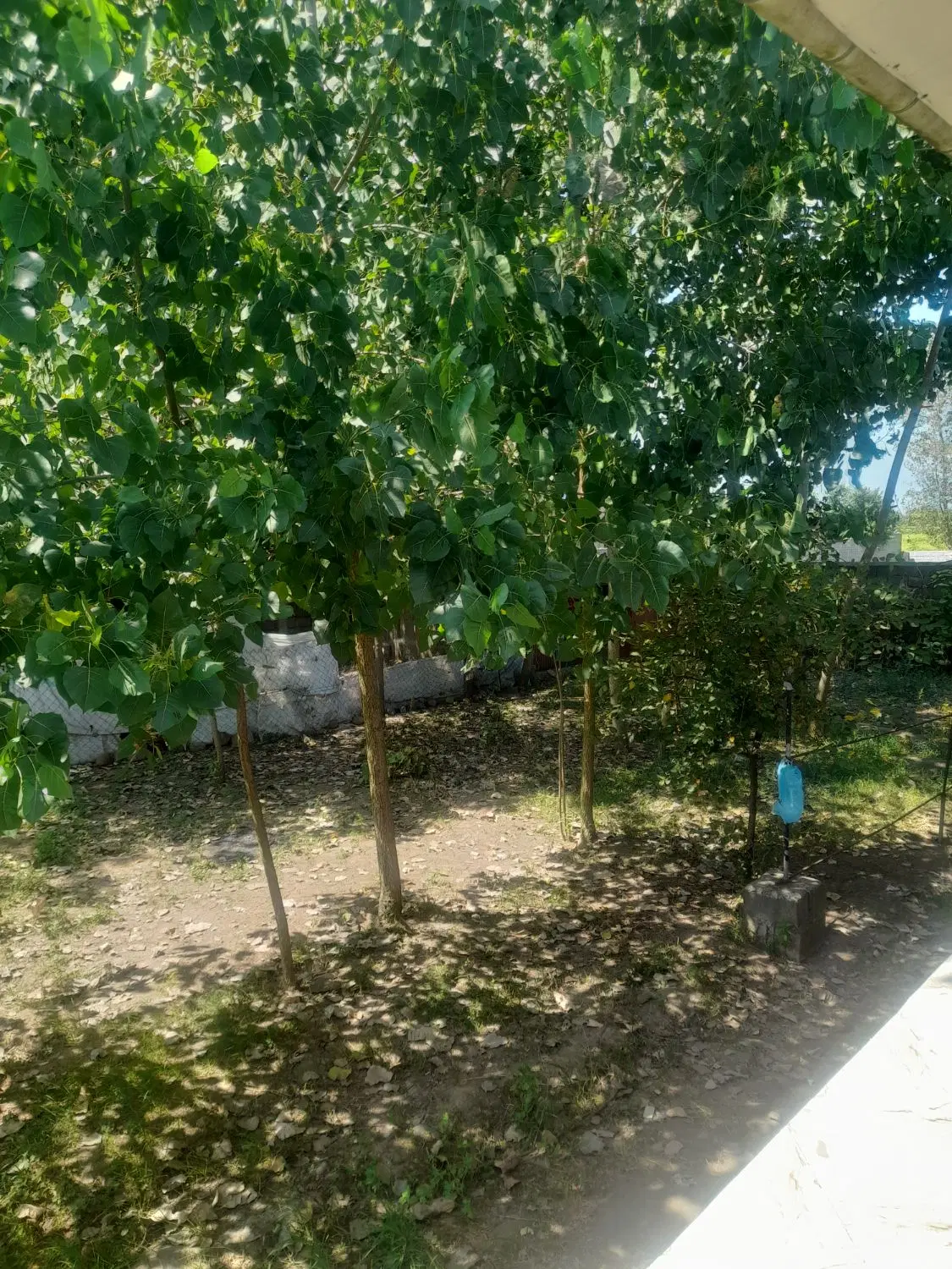 زمین مسکونی