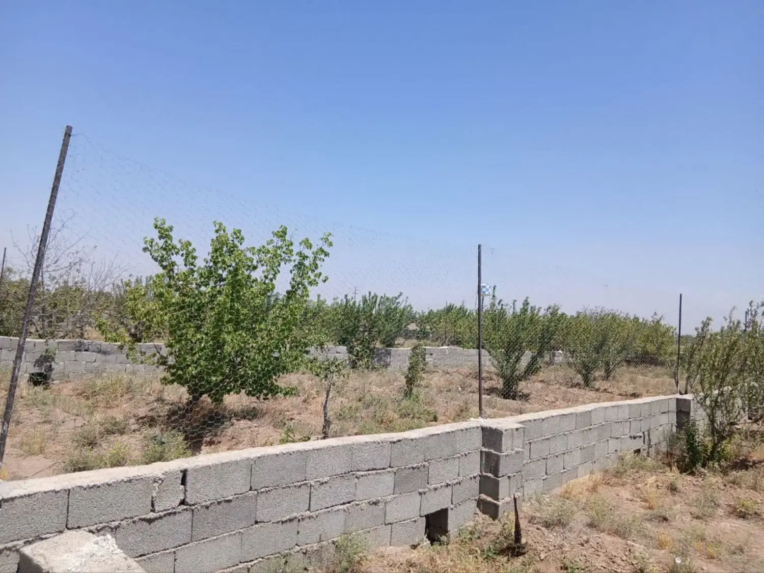 باغچه به متراژ ۳۰۰ متر