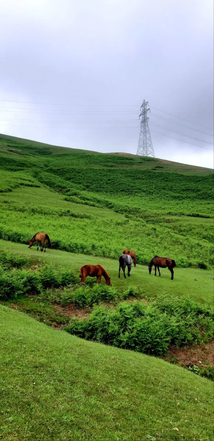 فروش زمین در روستای توریستی آلهاشم خلخال