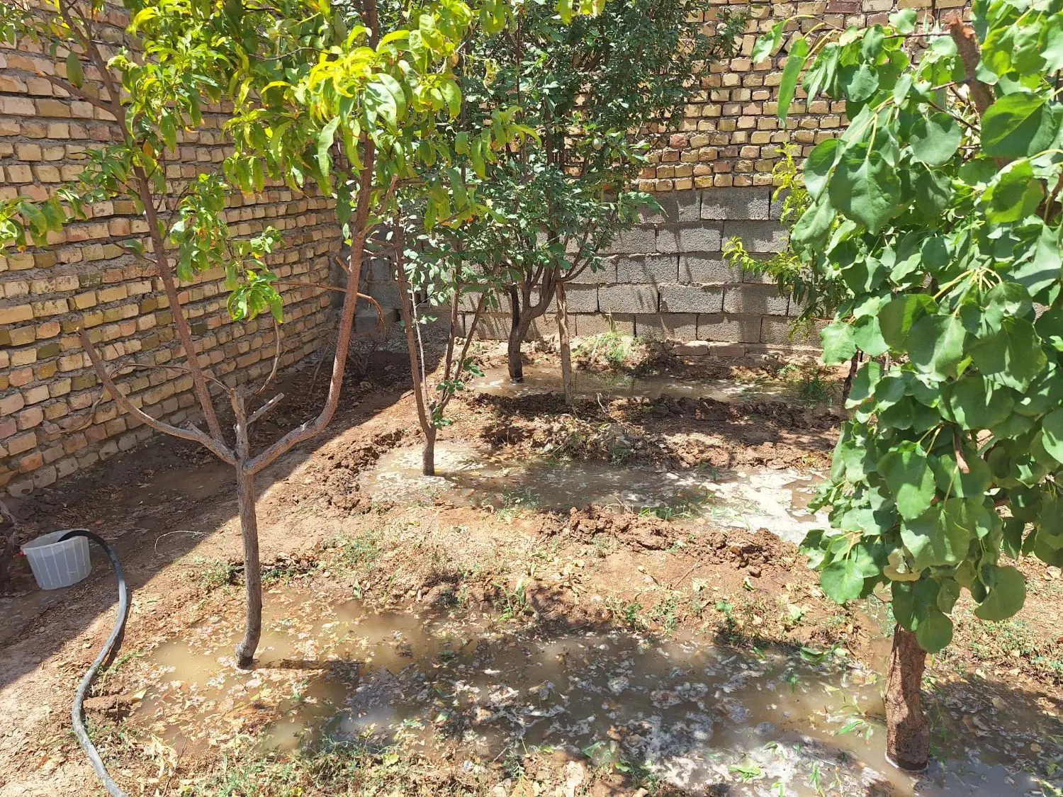۱۰۰متر چهاردیواری سند تک برگ