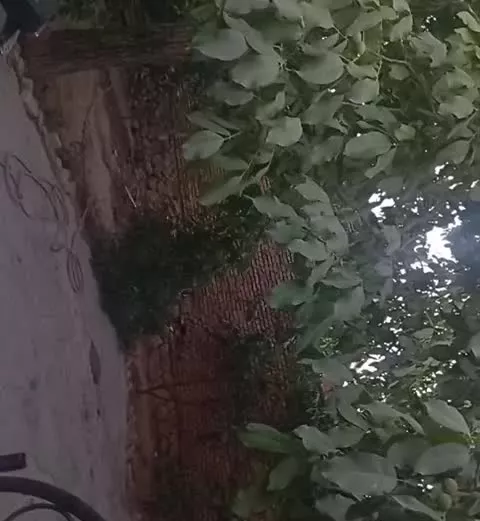 خانه ویلای قابل سکونت