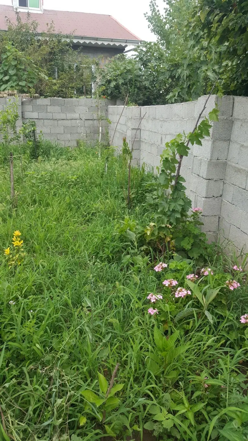 واحد ۷۵متری شهری  خیابان اصلی جاپارکدار