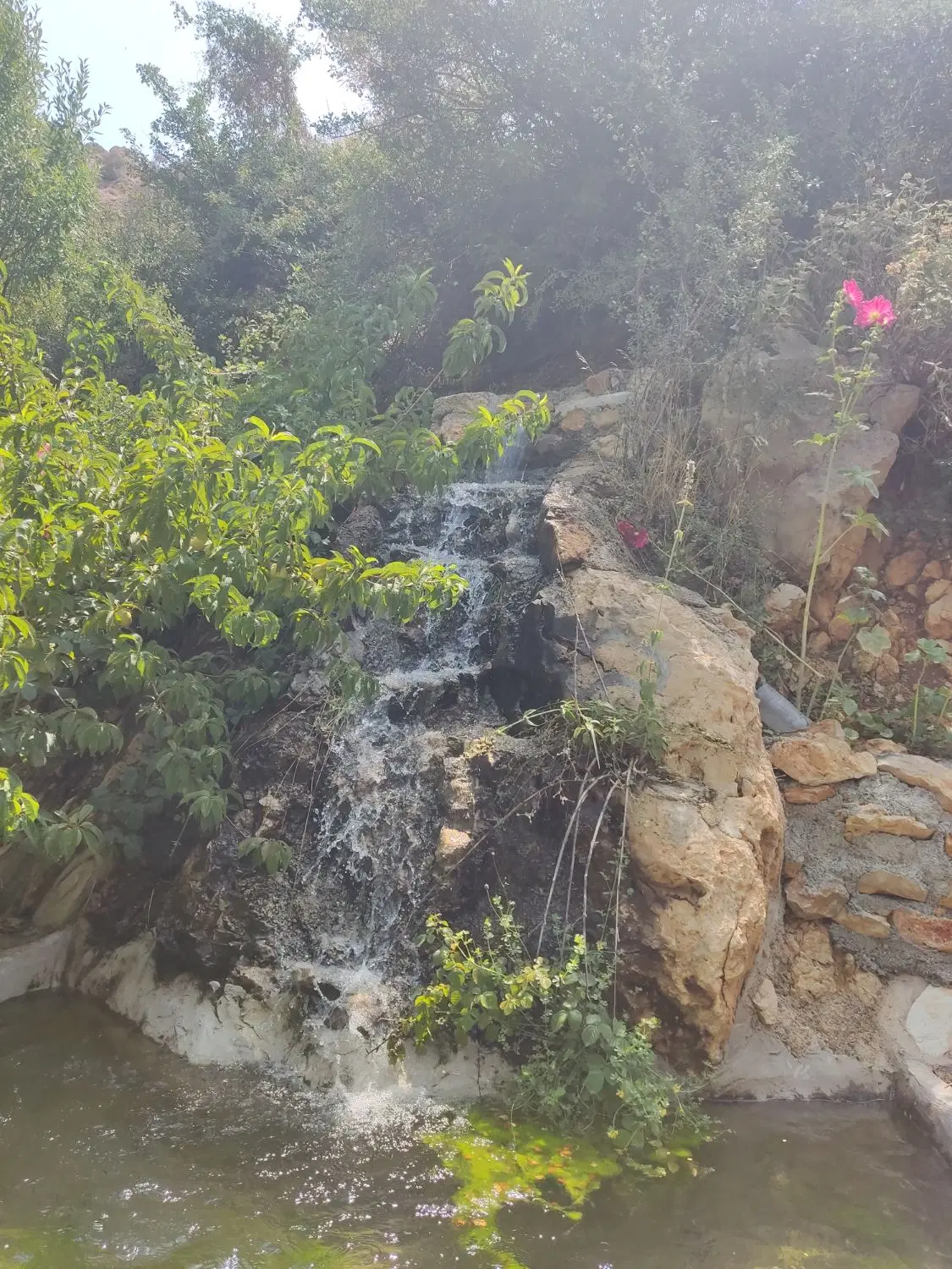 فروش ملک