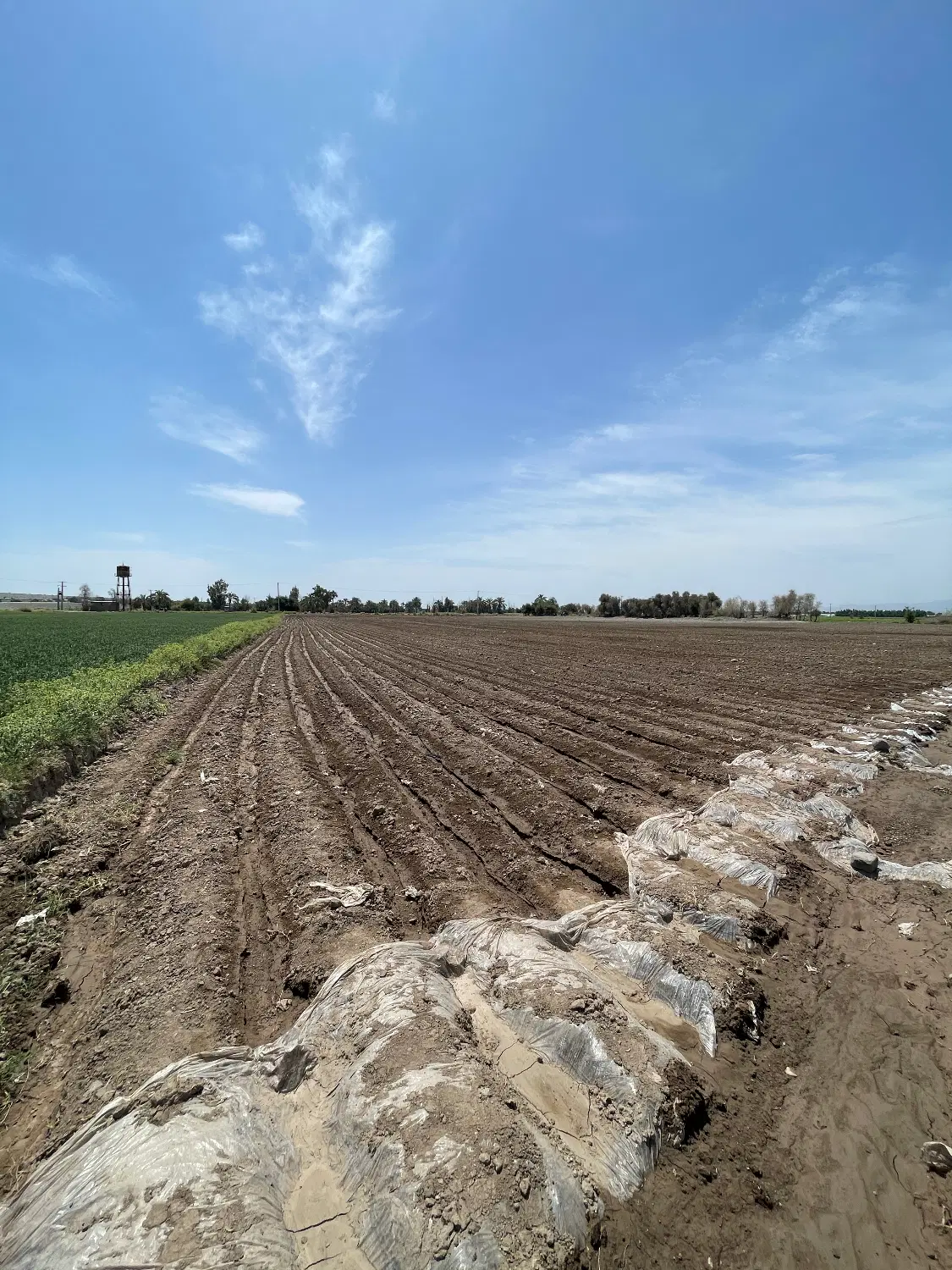 زمین کشاورزی