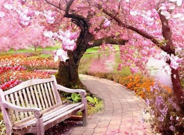 زمین فروشی منطقه خوش اب وهوای سیرمند۲۰۰۰متر