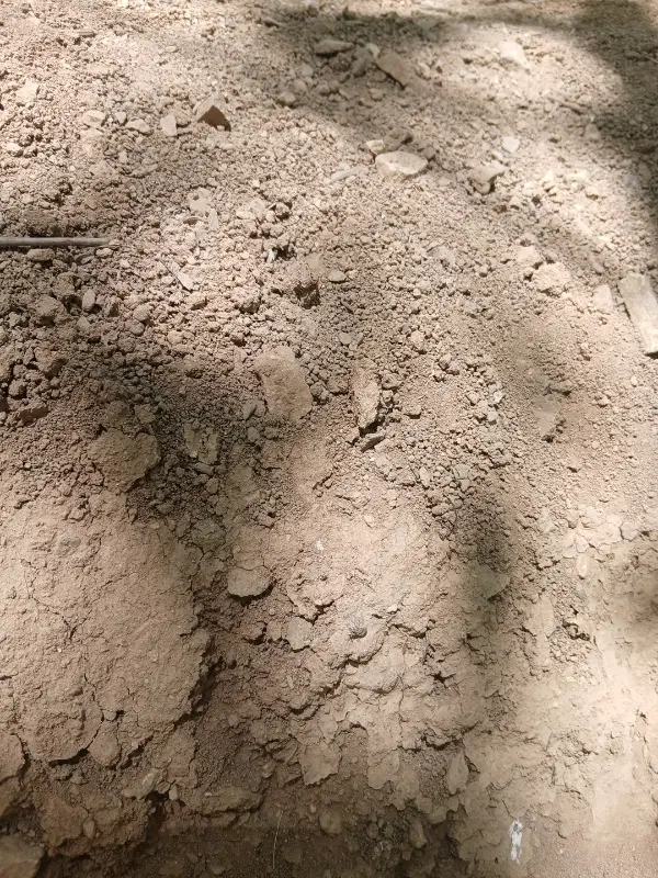 زمین