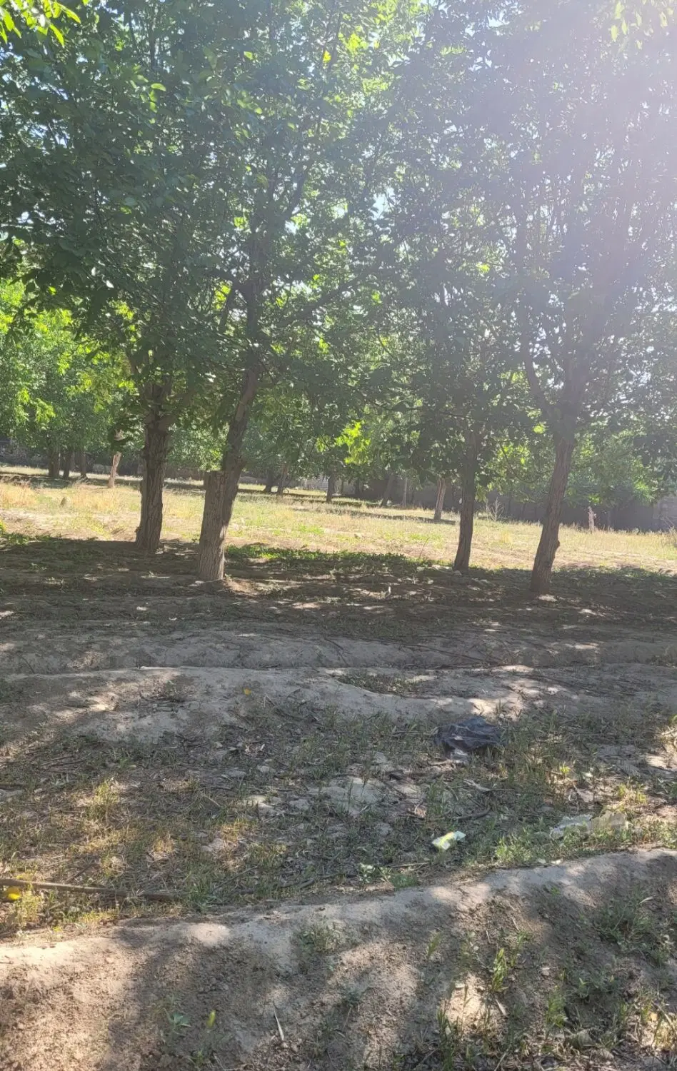 باغ مناسب برای ساخت سند تک برگ بلوار ارم