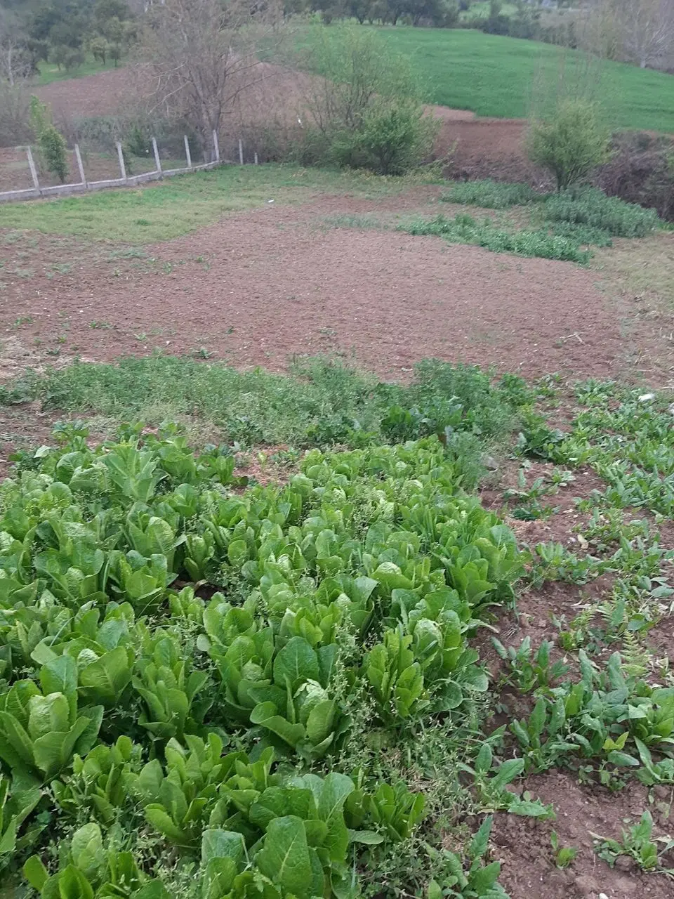 فروش زمین