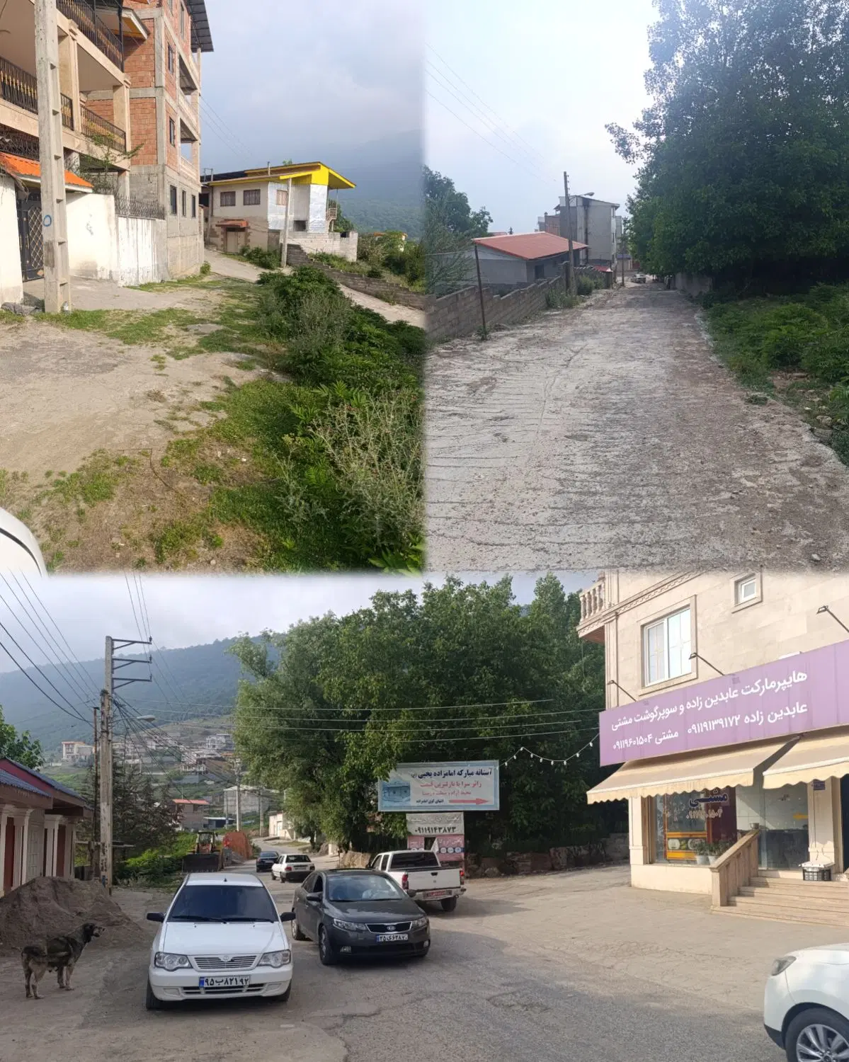 زمین ییلاقی چلاو  قابل ساخت دنج
