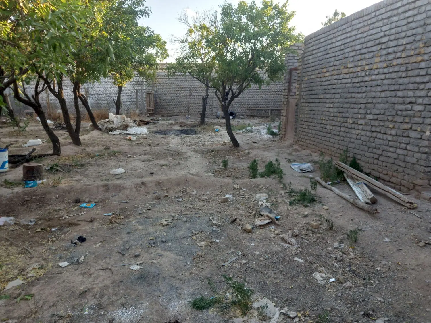 باغ فروشی