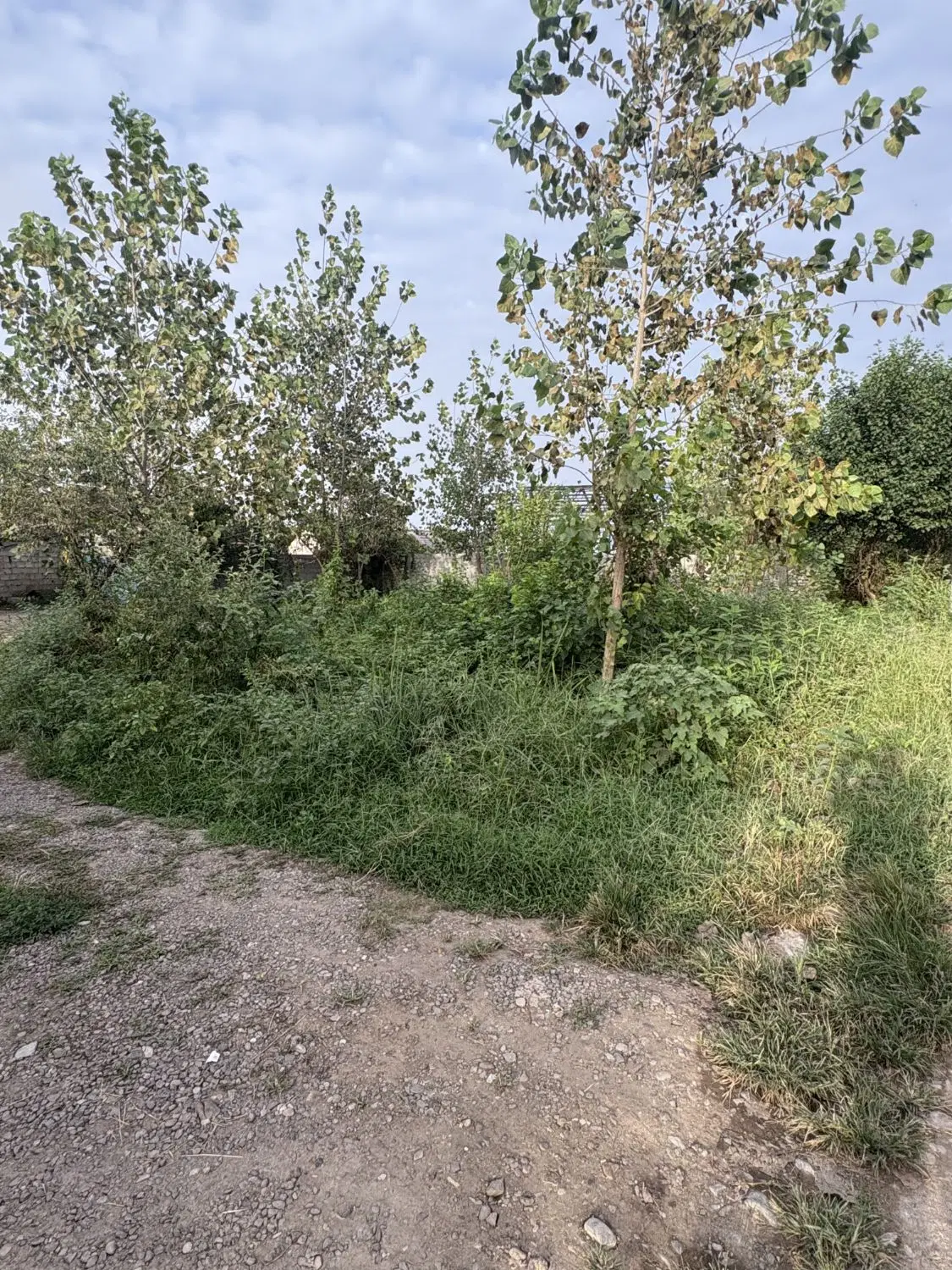 فروش زمین روستایی