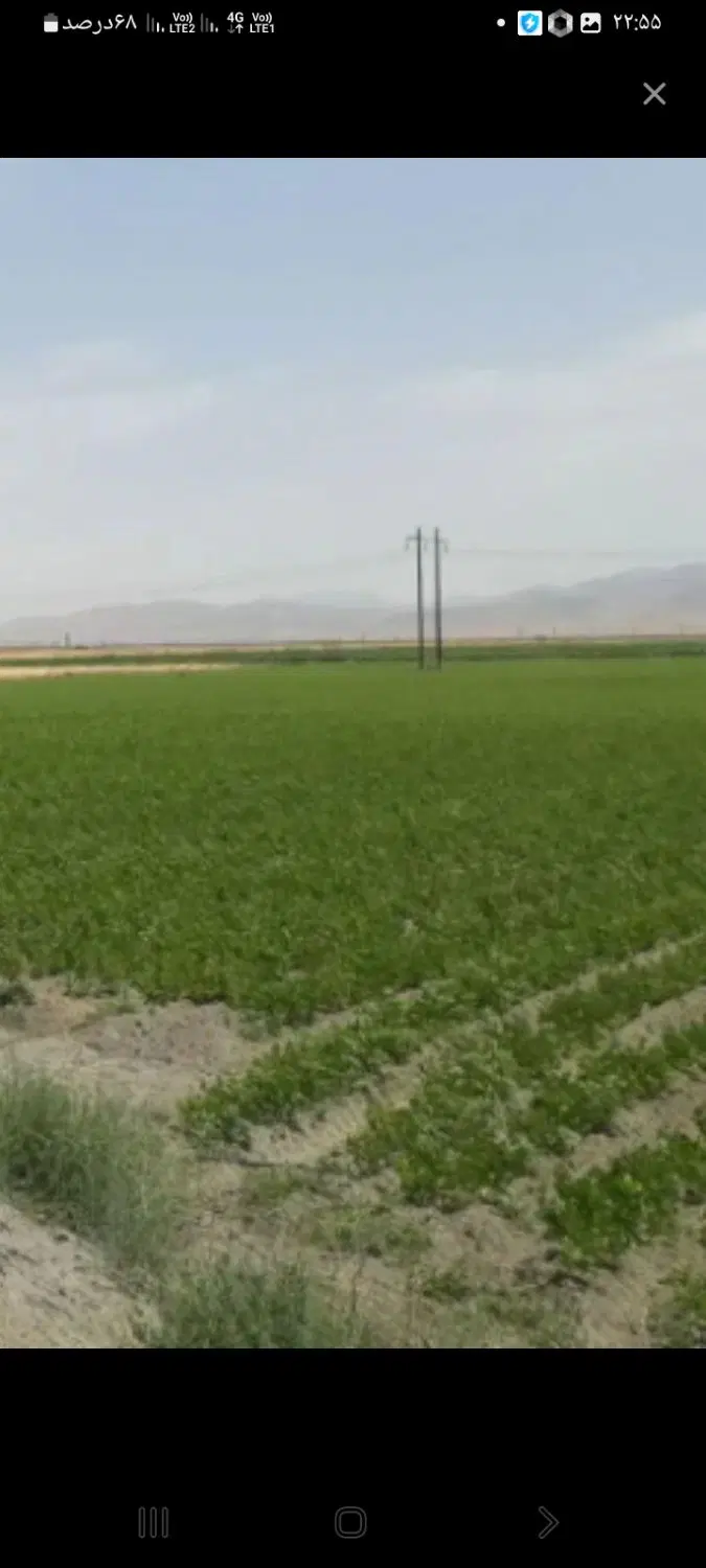 زمین باغی یا ویلا