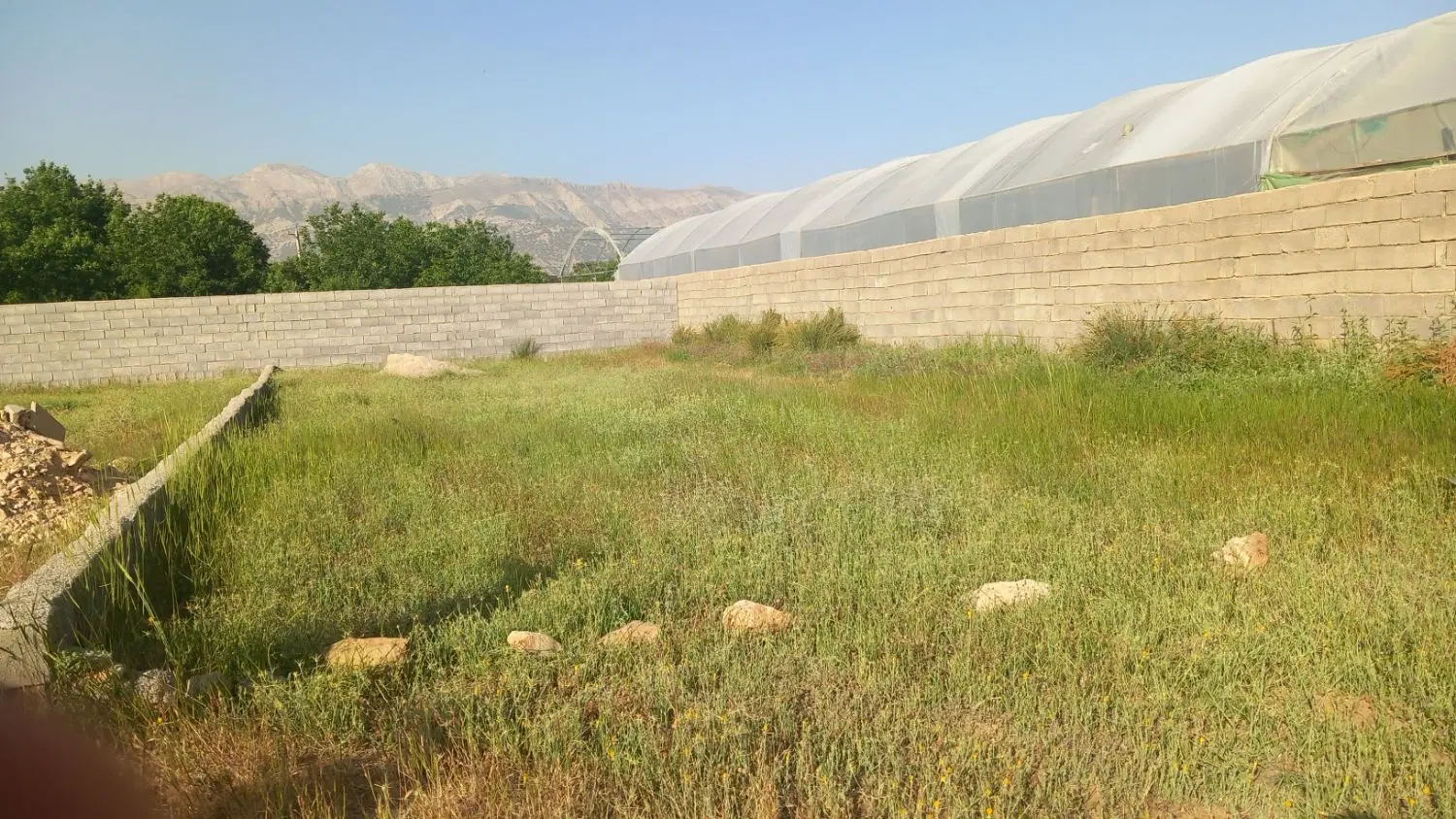زمین نرگاه