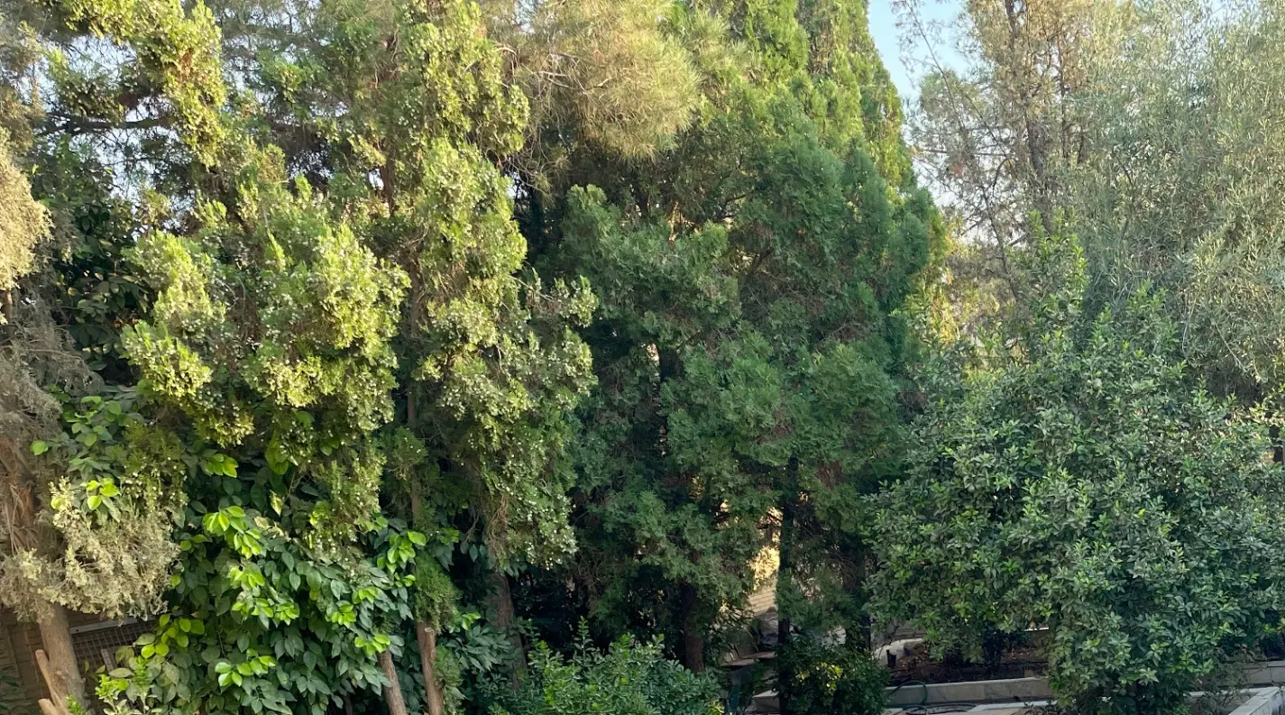 منزل 500 متری بلوارجمهوری