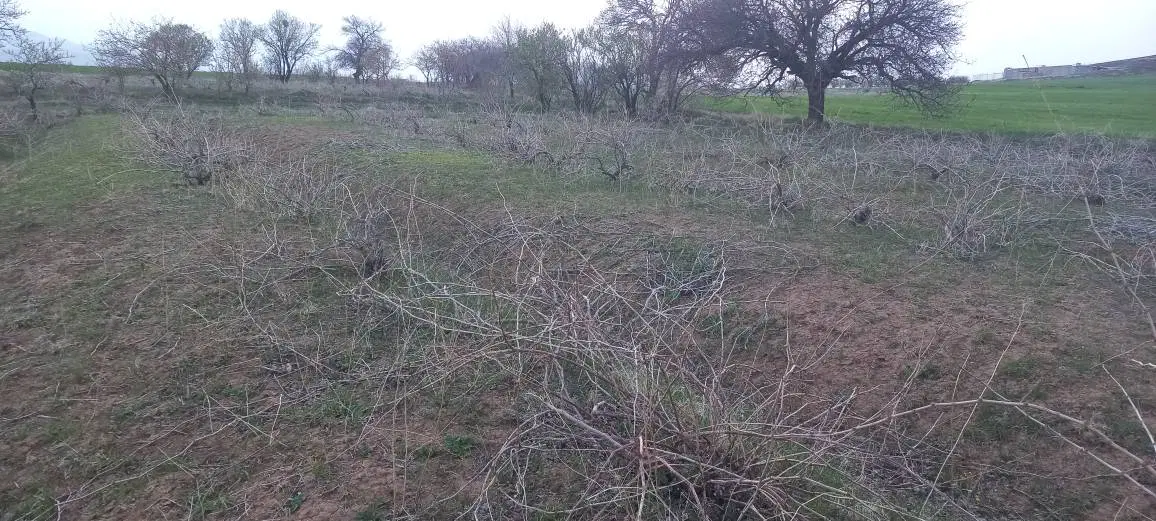 زمین کشاورزی (آبی و دیم زار ) شهرک صنعتی آستانه