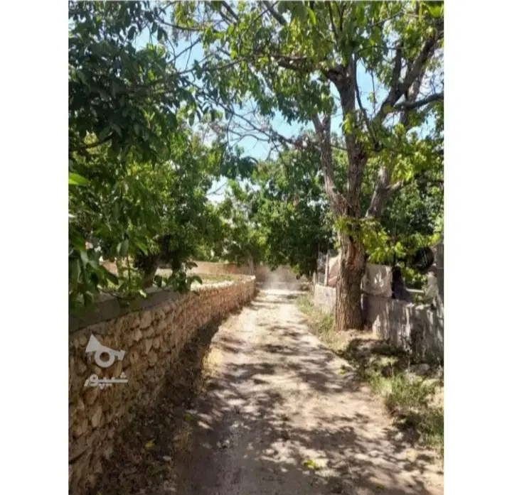 زمین(باغ) دیباج زردوان دارای نقشه شهرداری