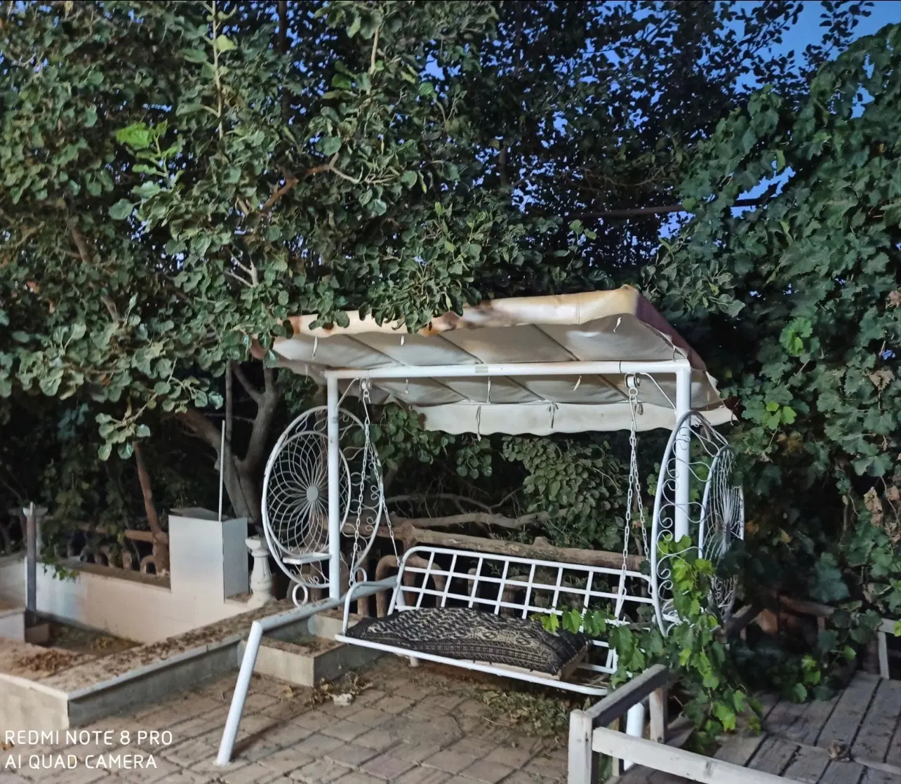 باغ در دلویی