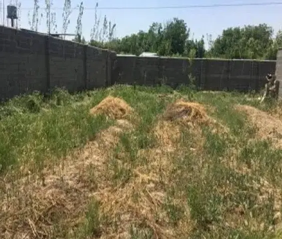 فروش زمین دور میدان آزادی