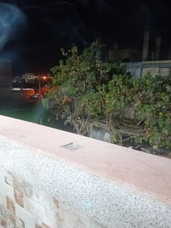 فروش زمین مسکونی فرزند آوری