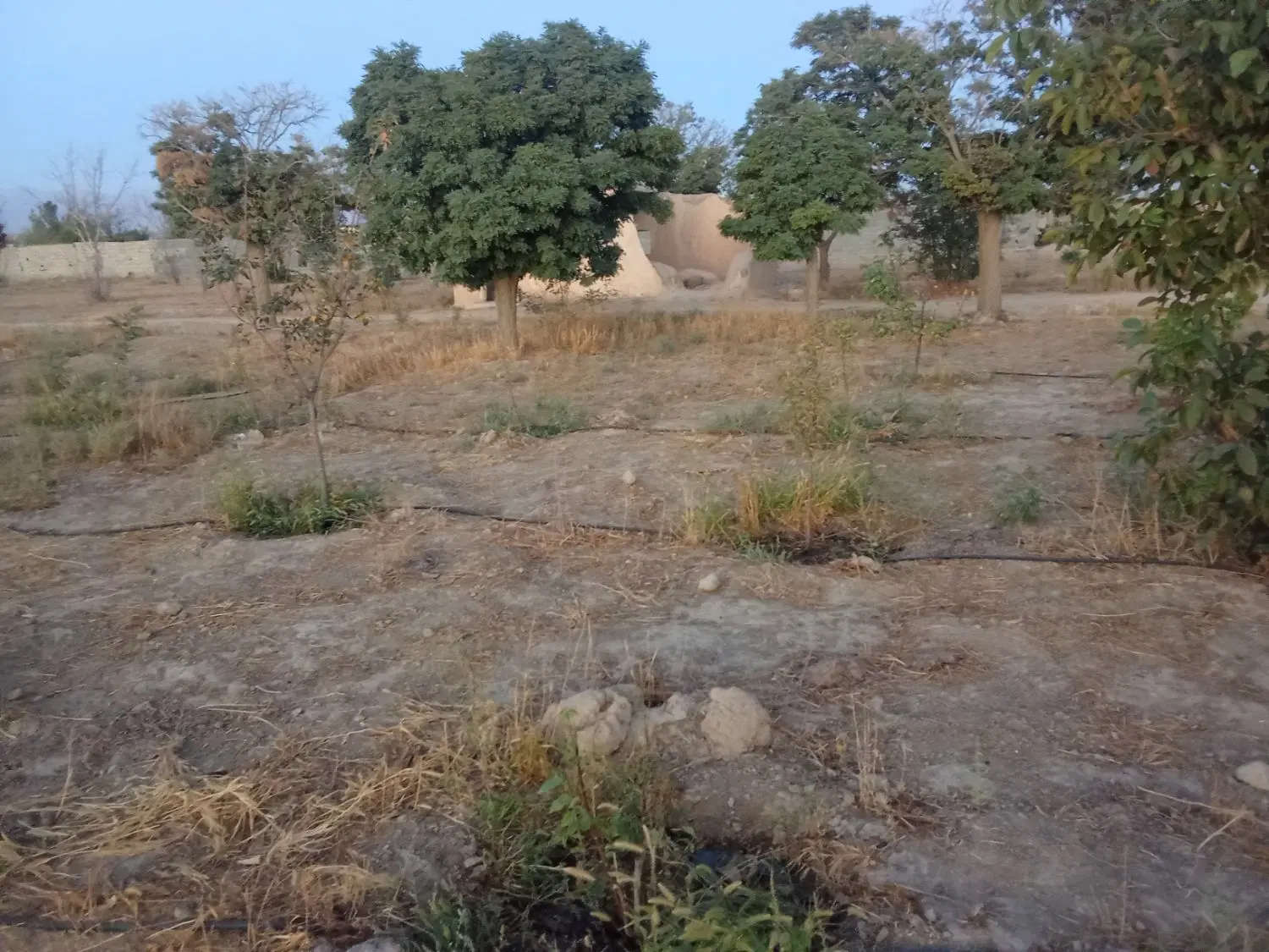 باغچه 200 متری