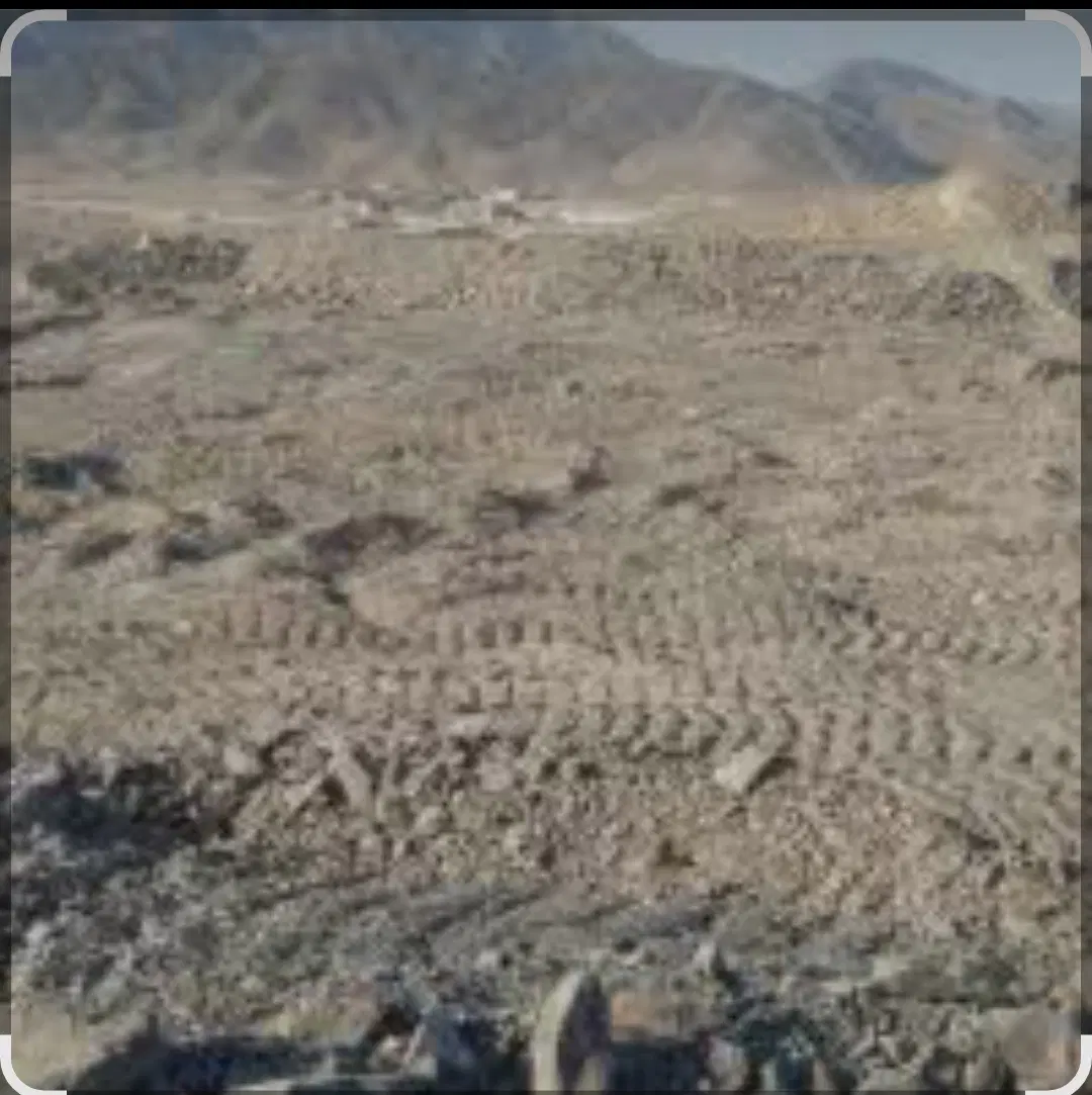 زمین مرزبانی