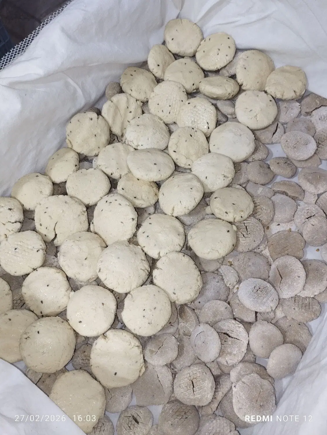 کارگاه و فروشگاه لبنیات