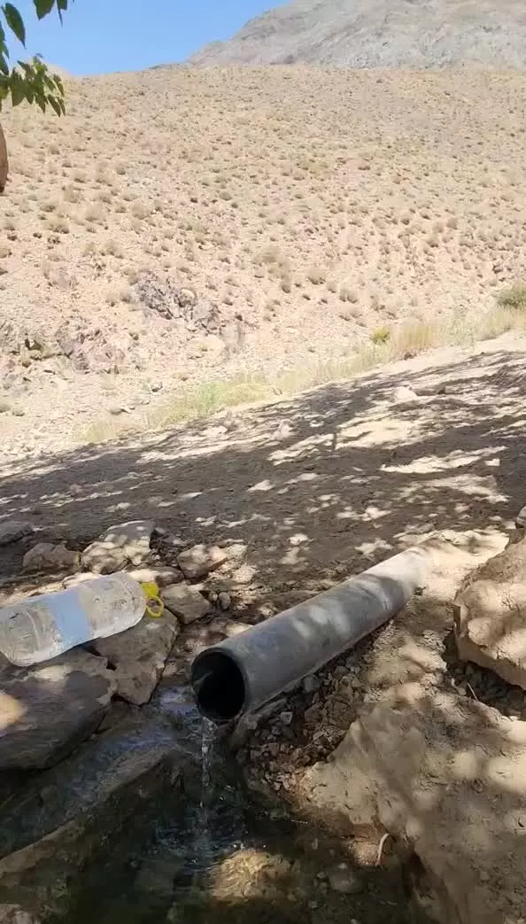 مزرعه می خوای از خانم سمیعی بخر