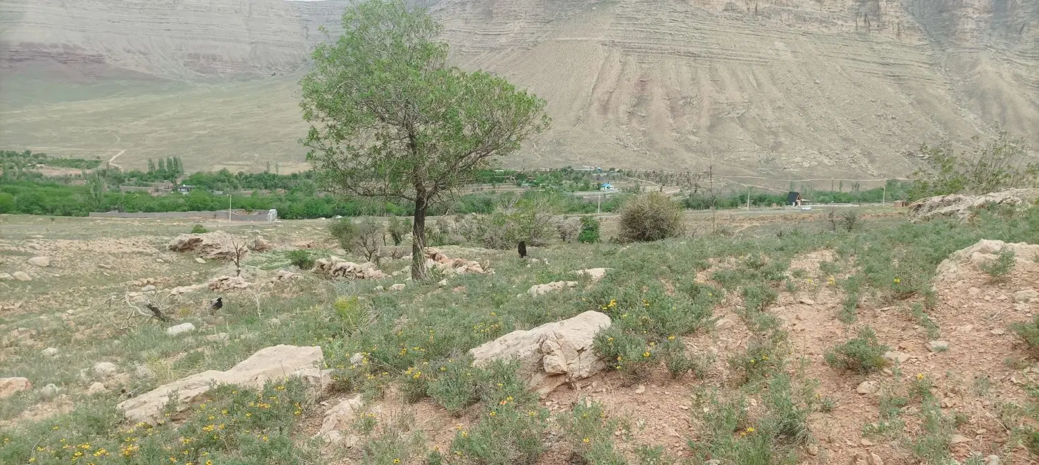 فروش مزرعه