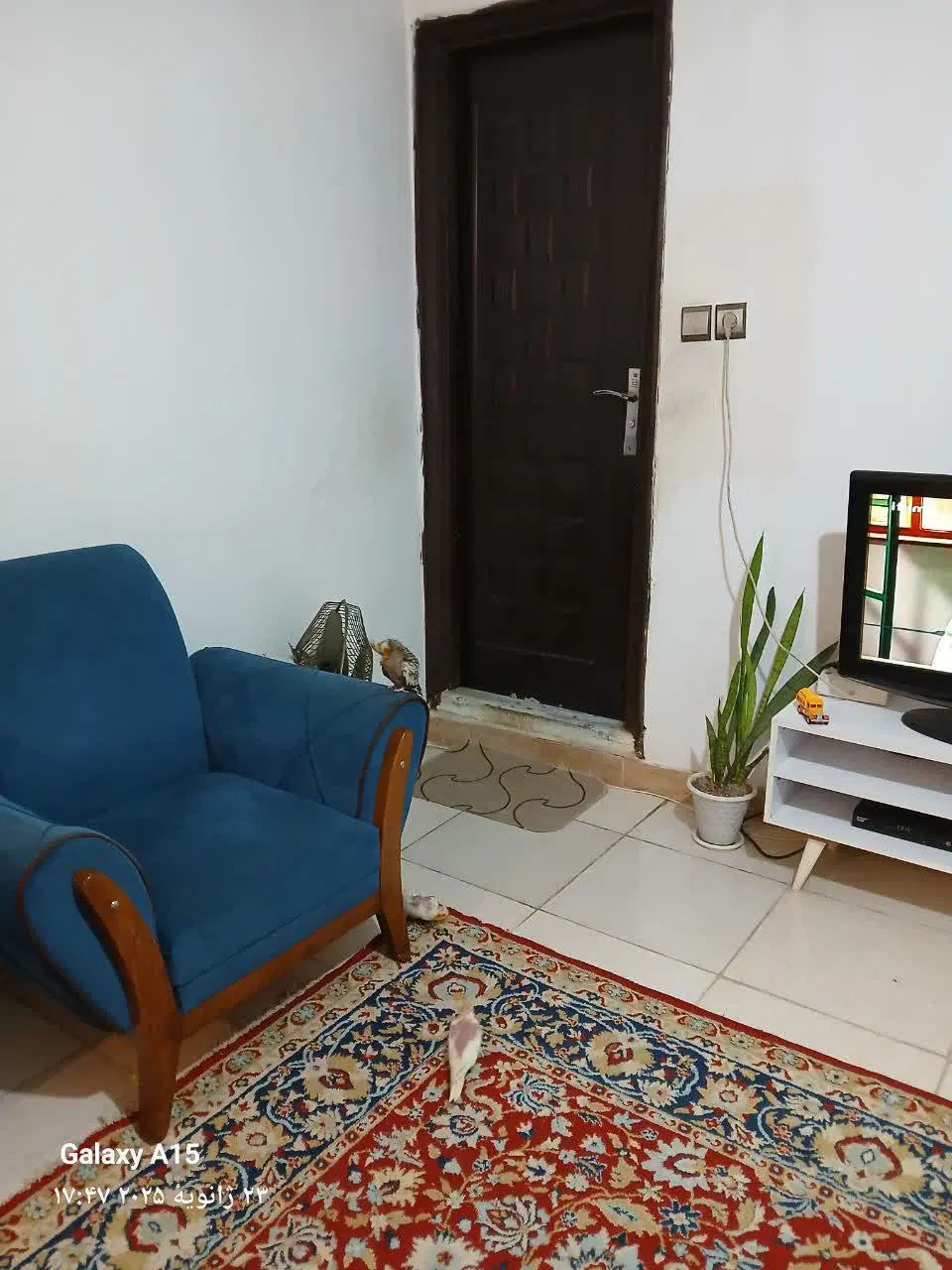 خانه نقلی و زیبا