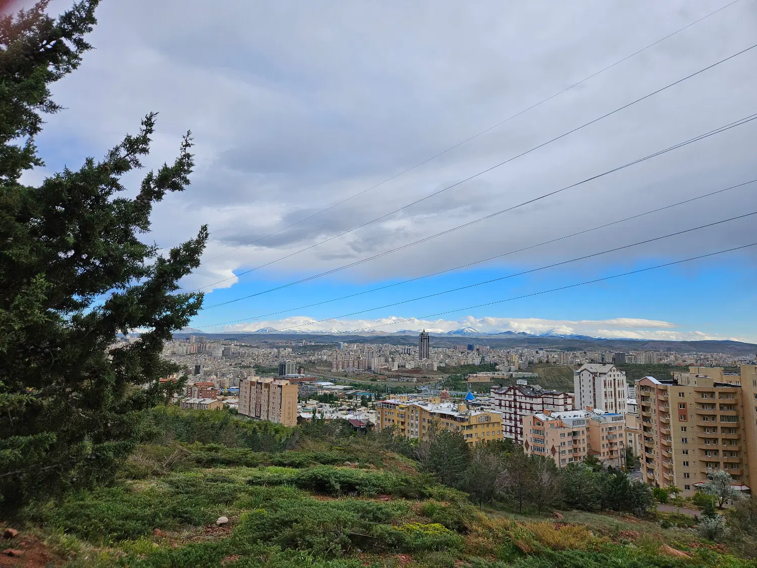 اجاره اپارتمان ۲۳۰ متری رشدیه
