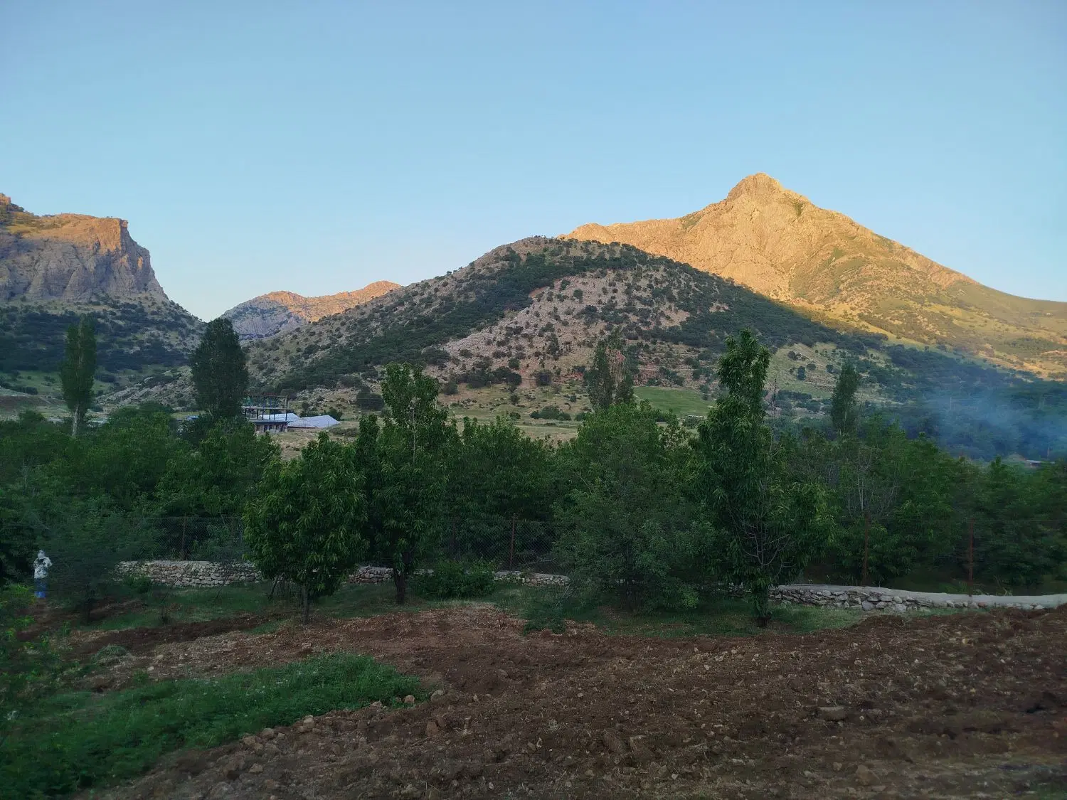 فروش باغ ثمردار دزلی
