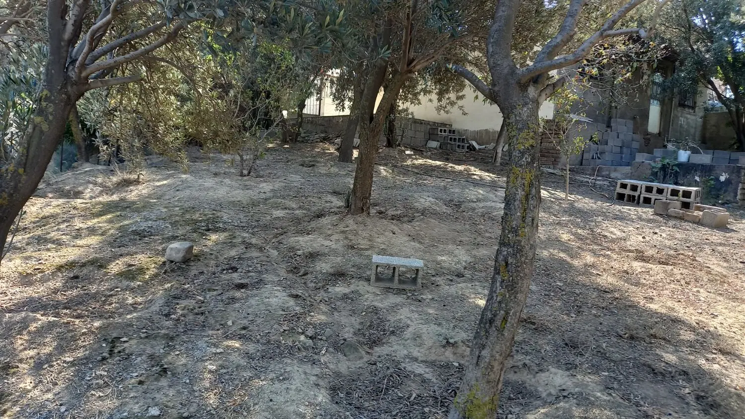 اجاره خانه دررودبار گیلان