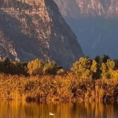 معاوزه زمین مسکونی با ماشین