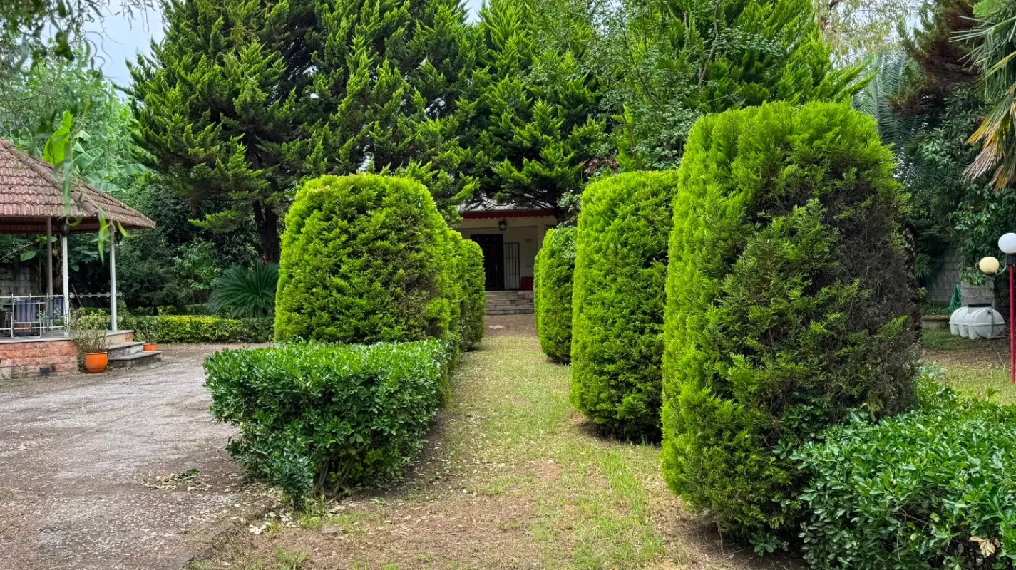 باغ ویلای ۳۰۰۰ متری در شاندرمن مناسب اقامتگاه