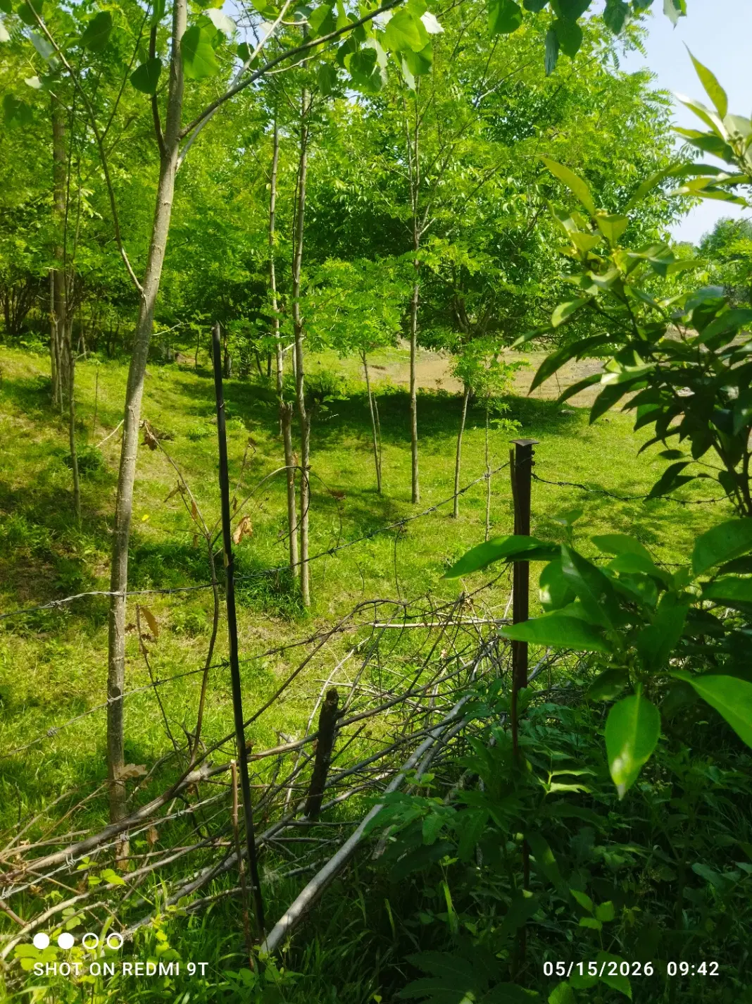 زمین با ویوی ابدی