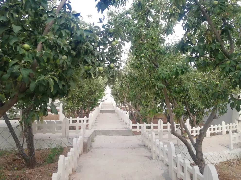 آپارتمان ۱۳۱متری دو خواب سفیر شمالی