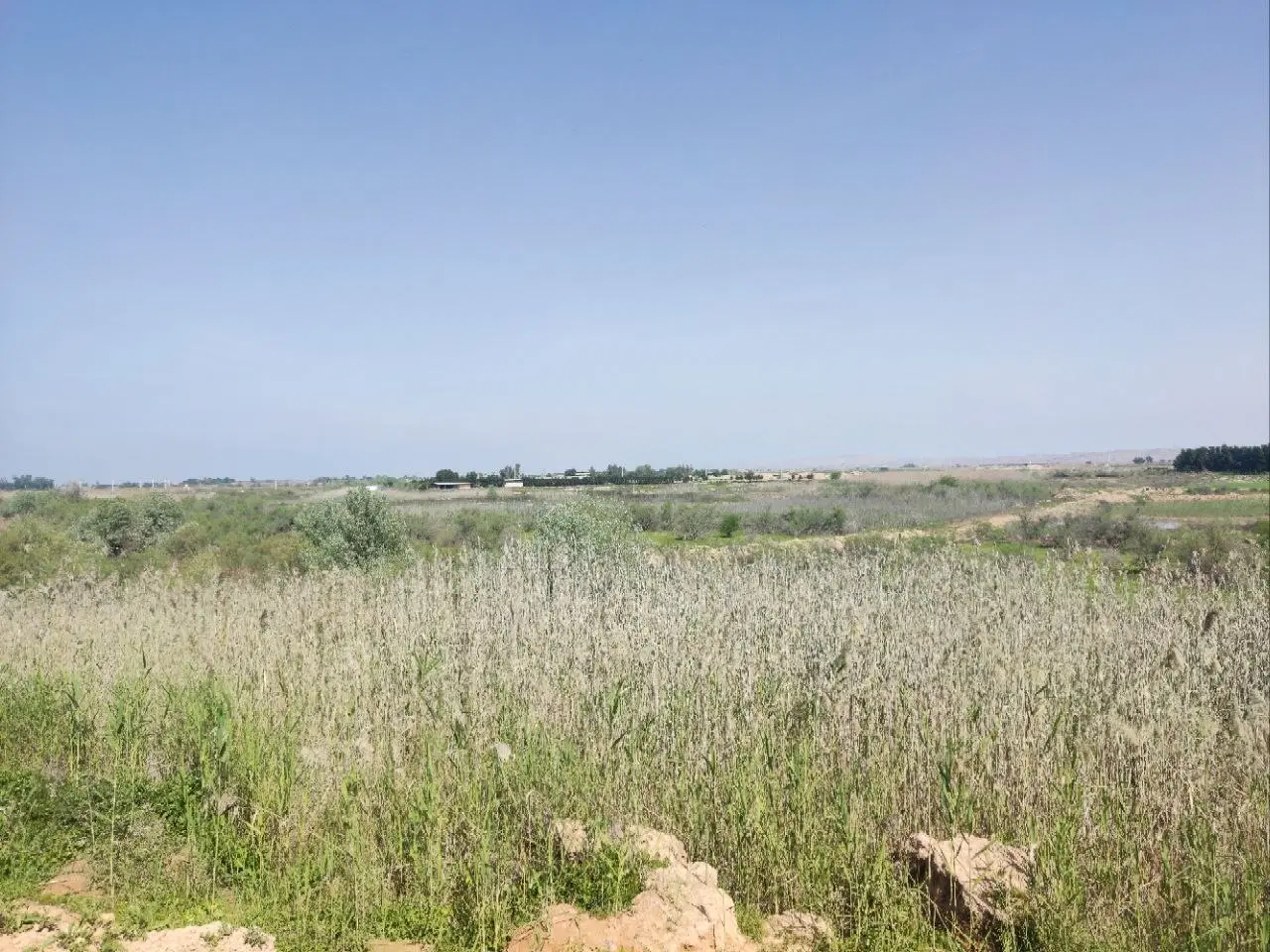 زمین کشاورزی ۱ هکتار