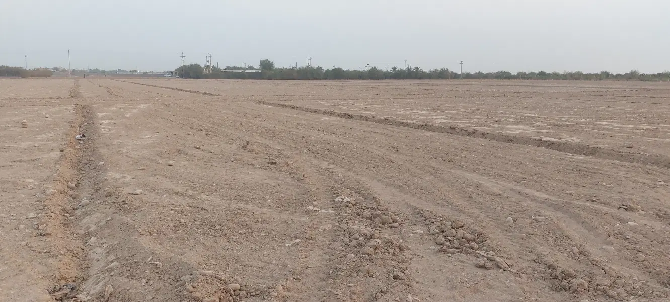 زمین مسکونی کوی رسالت