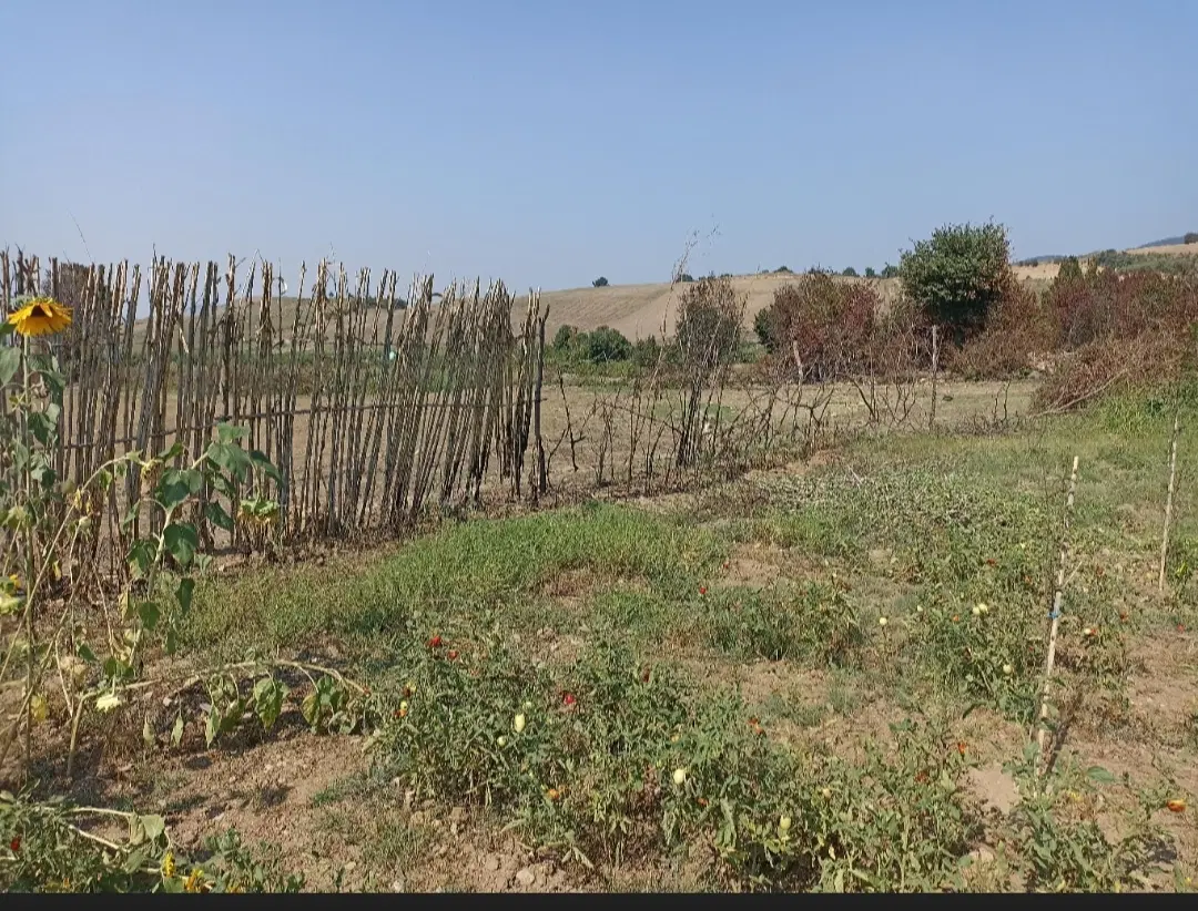 زمین کشاورزی ۱۰۰۰متر