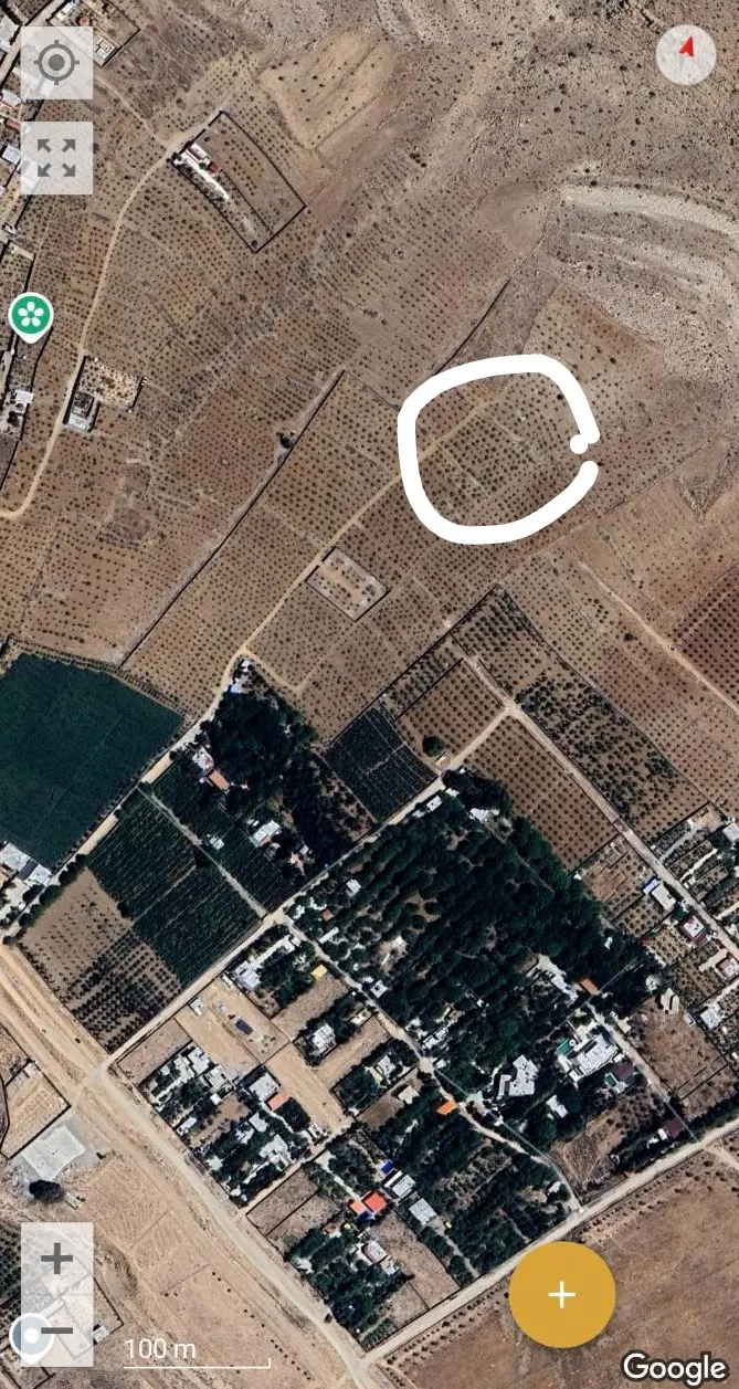 زمین باغی ثمری برای ویلا در روستای کلستان