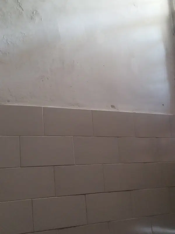 همخونه