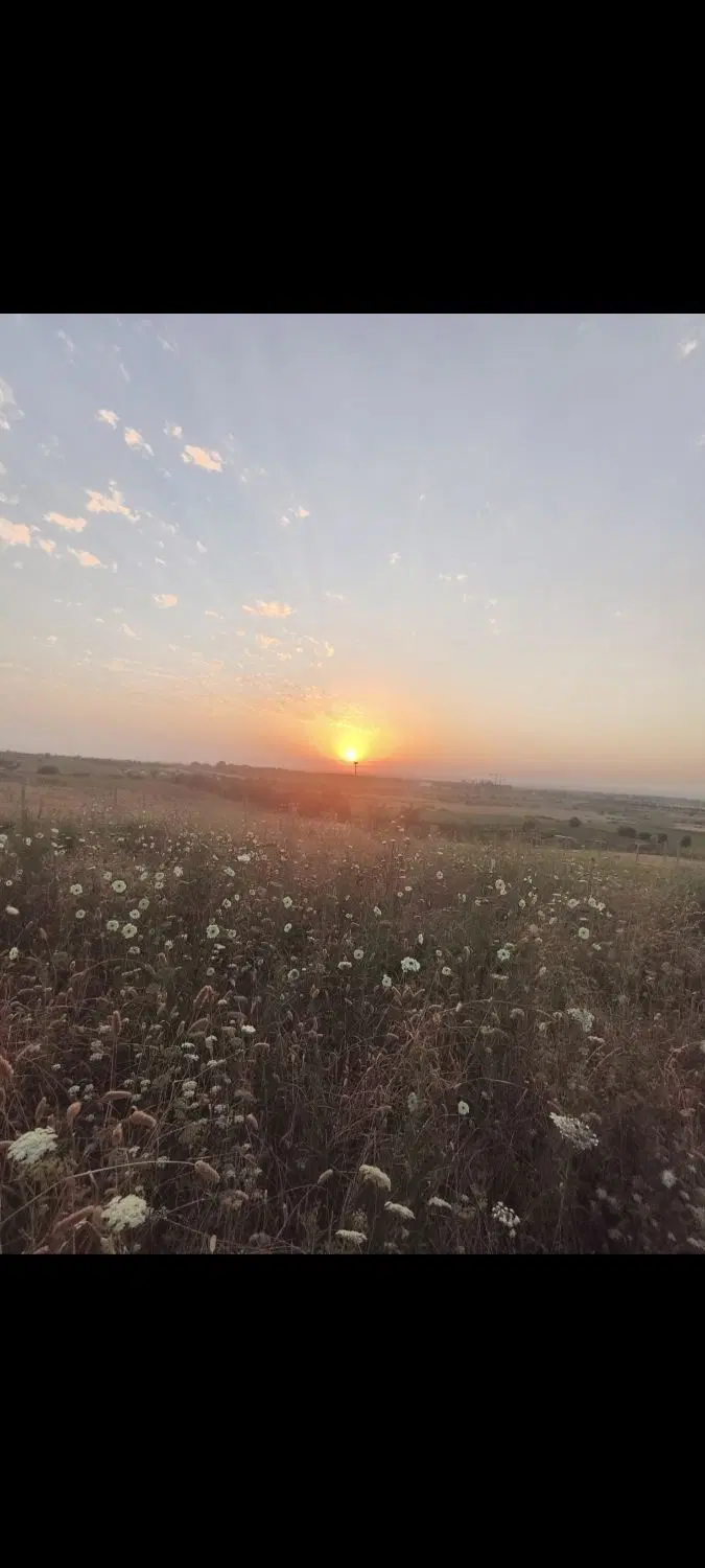 زمین ۵۰۰متری